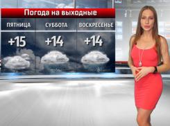 О погоде в Международный день мечты в Волжском рассказала Катя Американо