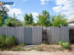 Дачники в Волжском разделились на два лагеря