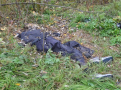 В лесополосе у 3-й Продольной нашли тело неизвестного мужчины