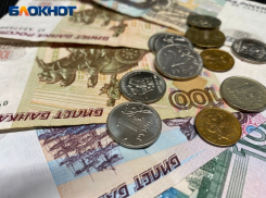 Доходы волжских депутатов скроют от общественности