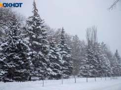 Какой грозит штраф за нарушение экологии в Волжском?