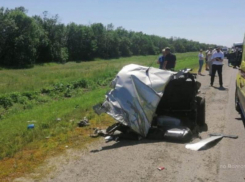 Обвиняемой в смерти семьи из Волжского избрали меру пресечения