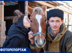 Впервые попробовала морковку: как чувствует себя едва не замерзшая в пойме лошадь Находка