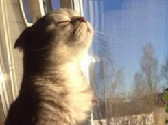  День памяти Иоанна Богослова принесет волжанам солнечный понедельник