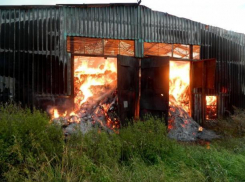 Двенадцать тонн сена и хозпостройки охватило огнем под Волжским