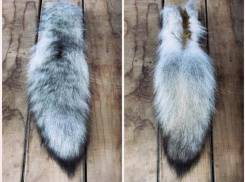 В доказательство смерти моей собаки, они привезли ее отрубленный хвост, - волжанка