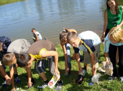 200 юных волжан выйдут очищать родные берега от мусора