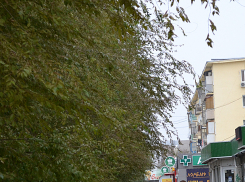 О спасительном дожде молятся волжане, чтобы остановить череду пожаров 