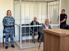 В Волжском сбивший 9-летнюю девочку маршрутчик пытался выйти из колонии на условное