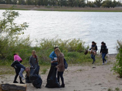 Более 500 килограммов мусора оставили гнить волжане на городском пляже