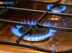 Газовая безопасность под особым контролем: в Волгоградской области обследовали более 8 тысяч жилых объектов