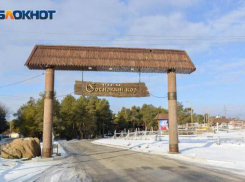 Волгоградский «Сосновый Бор» обязали уничтожить к лету