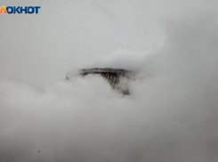 «Начальство в тюрьму!»: волжане в ярости из-за трагедии на трубном заводе