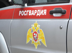 Ничему жизнь не учит: рецидивист украл алкоголь из магазина в Волжском