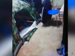 Смекалистый волжанин выращивал коноплю в палатке в своей квартире