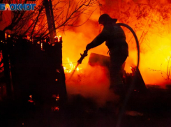 В Волжском запретили вход в леса