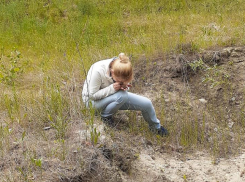 В Волгоградской области обнаружили новую популяцию редкого мха 