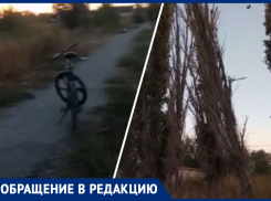 «Дерево скоро упадет на пешеходную дорожку», - волжанин о сухостое