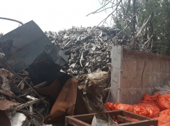 «Царь-продукт» сбрасывал останки скота прямо на территории предприятия