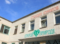 Волжане хотят отстоять городскую станцию юннатов