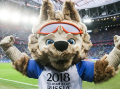 Волжан пригласили поработать на Чемпионате мира по футболу-2018