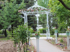 В Волжском регистрировать брак теперь можно под открытом небом