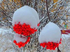 В День Конституции России в Волжском за окном будет то дождь, то снег 