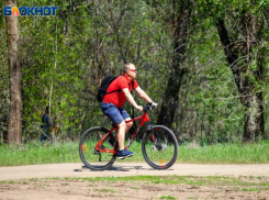 Теплую, но ветреную пятницу прогнозируют в Волжском