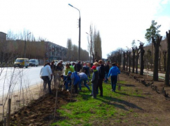 Волжан призывают навести порядок в городе