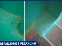 «Нас игнорируют уже год»: на грязь в подъезде и неотработанные заявки жалуются жители Волжского