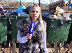 Волжане не довольны работой Ситиматика