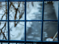 На «строгач» отправят лжегазовиков из Волжского