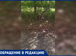 Заброшенная остановка в Волжском погрязла в окурках