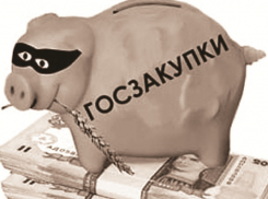Администрация Камышина купит новости о спорте на 354 тысячи