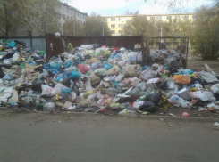 Машук и Эверест из мусора выросли во дворе многоэтажки Волжского