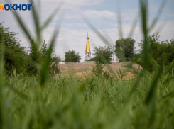 Жителей Волжского приглашают на бесплатные экскурсии