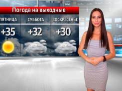 Наслаждаемся летом независимо от погоды