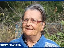 «Горы сухостоя, мусор и маргинальные личности»: так пенсионерка описала двор в Волжском