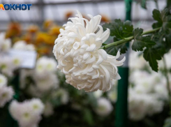 День обещает быть насыщенным: гороскоп на 28 ноября