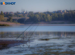 Похолодание и сильный ветер придут в Волжский: прогноз погоды на четверг
