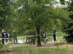 Подробности об убийстве в парке Волжского: произошла драка
