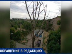 «При падении убьёт»: УК вторую неделю не реагирует на срочную заявку жителей Волжского