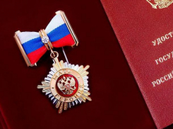 От бесплатной земли до полного пакета медпомощи: в России утверждены новые меры поддержки для матерей 10 детей