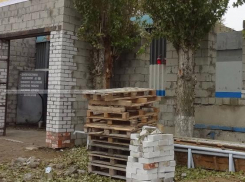 Бизнесмен из Волжского строит автосервис вокруг многолетних тополей