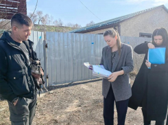 Разводить костер запрещено: в Волжском выписали 7 штрафов за неделю