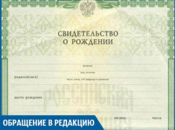 Новорожденные есть, а свидетельств в ЗАГСе на них нет - волжанка