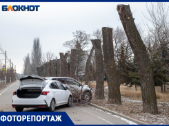 «Улетели в лесок»: авария на Набережной в Волжском, где чудом обошлось без жертв