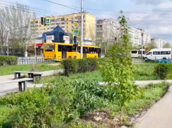 В Волжском установят скульптуру, скамейки и вертикальные клумбы около детской поликлиники №2 