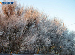 Снежные выходные прогнозируют в Волжском