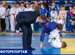 В Волжском состоялось Первенство города по дзюдо: фоторепортаж